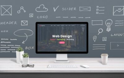 What are my Website Design Options?