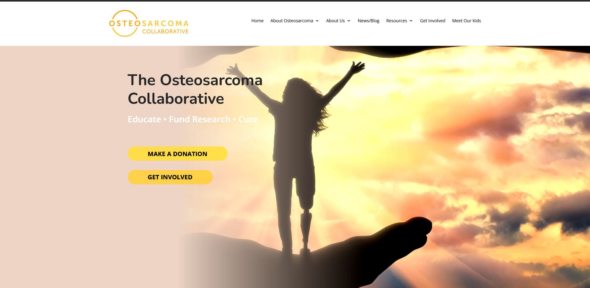 The Osteosarcoma Collaborative